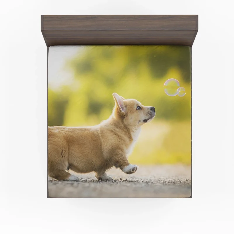 Stroll in Depth of Field: Corgi Quartet Fitted Sheet