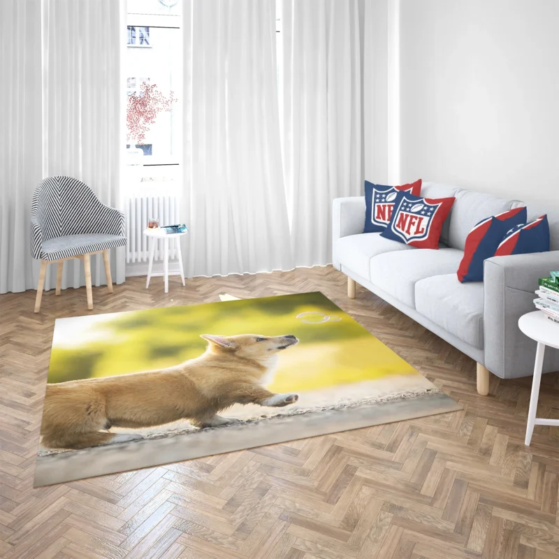 Stroll in Depth of Field: Corgi Quartet Floor Rug 2