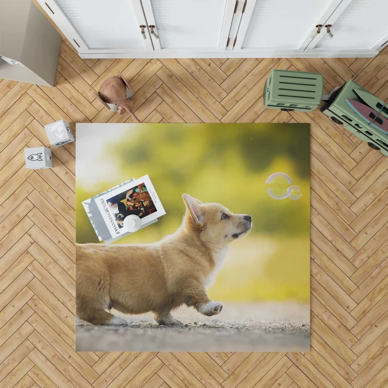 Stroll in Depth of Field: Corgi Quartet Floor Rug