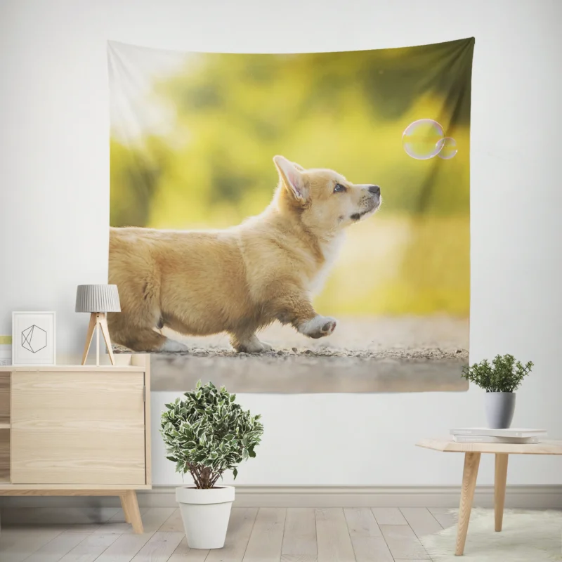 Stroll in Depth of Field  Corgi Quartet Wall Tapestry