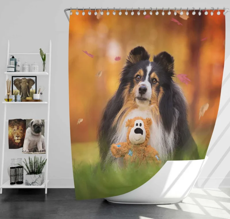 Stuffed Animal Companion: Shetland Sheepdog Quartet Shower Curtain