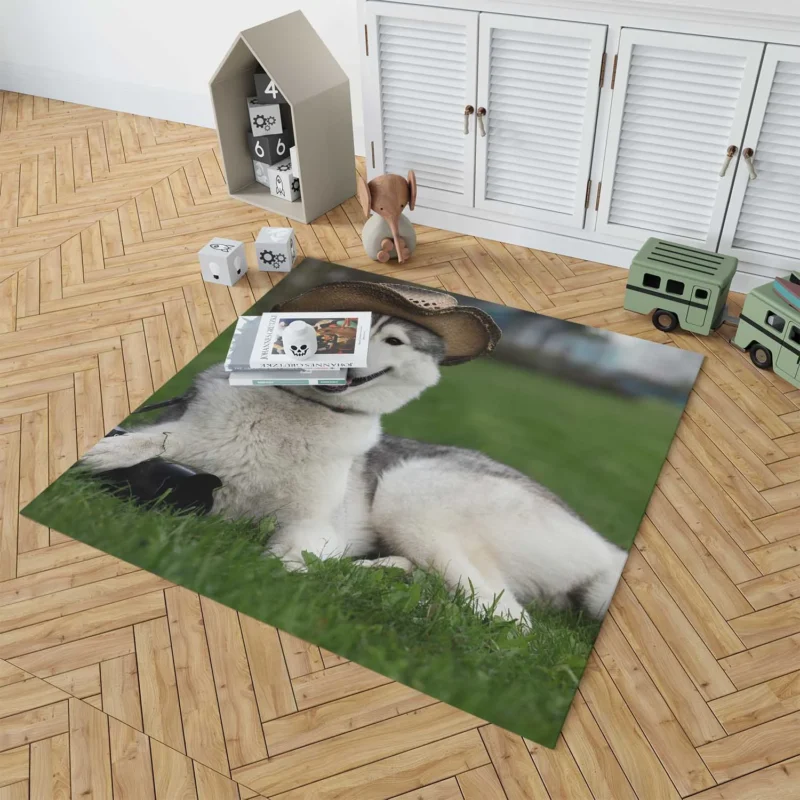 Stylish Canine Companions: Husky Quartet in Hats Floor Rug 1