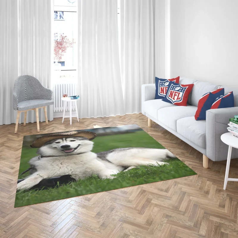 Stylish Canine Companions: Husky Quartet in Hats Floor Rug 2