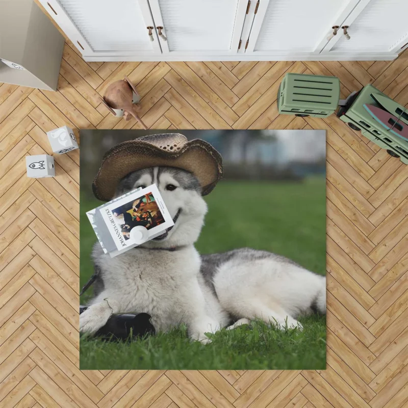 Stylish Canine Companions: Husky Quartet in Hats Floor Rug