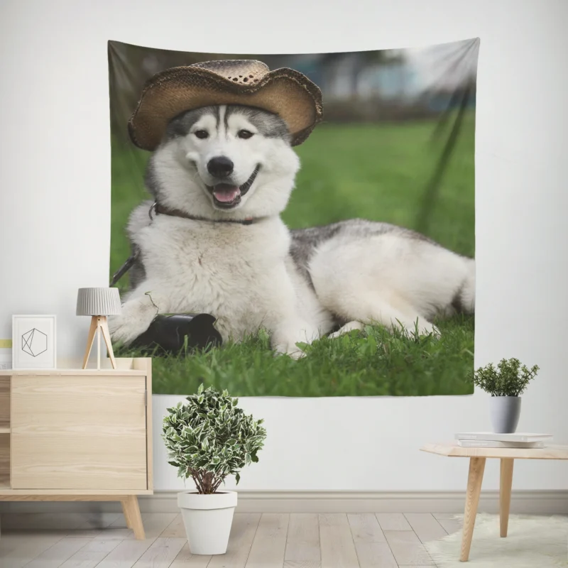 Stylish Canine Companions  Husky Quartet in Hats Wall Tapestry