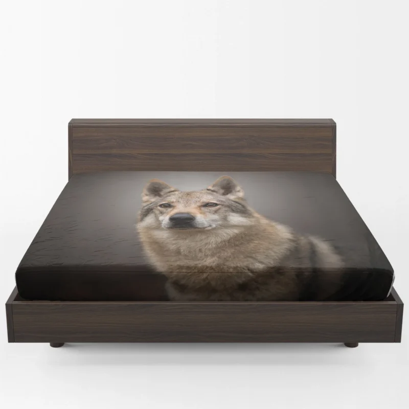 Subtle Tones: Czechoslovakian Wolfdog Quartet Fitted Sheet 1