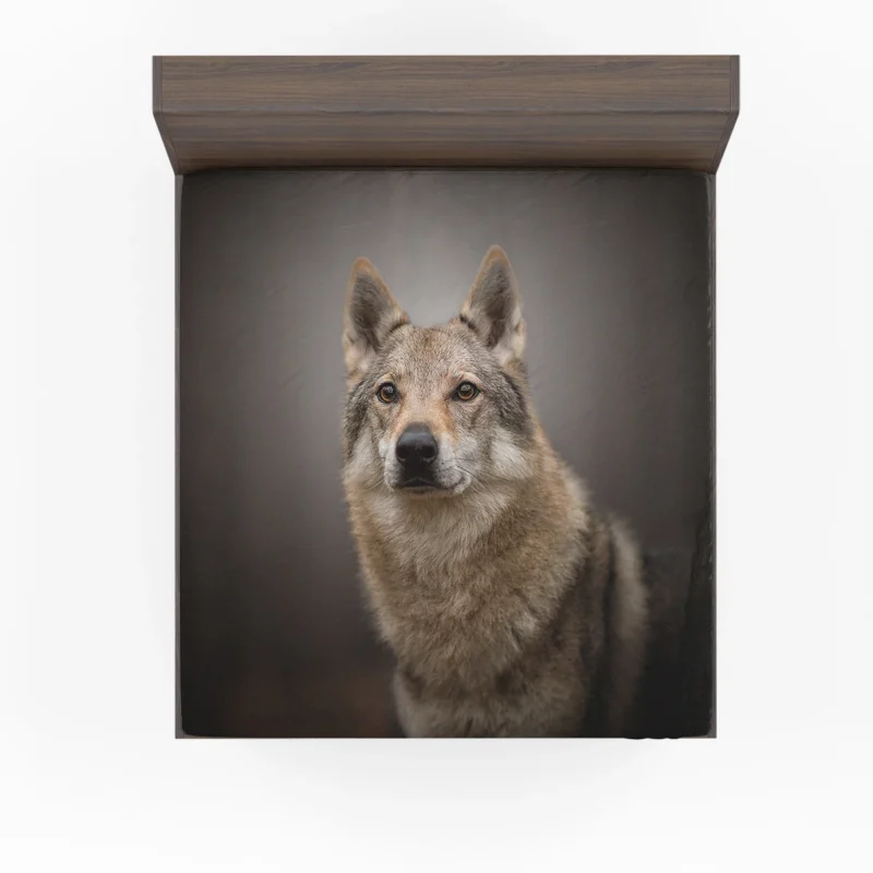 Subtle Tones: Czechoslovakian Wolfdog Quartet Fitted Sheet