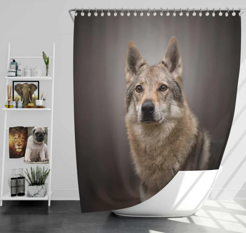 Subtle Tones: Czechoslovakian Wolfdog Quartet Shower Curtain