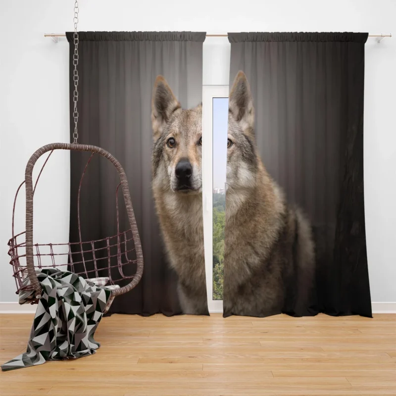 Subtle Tones: Czechoslovakian Wolfdog Quartet Window Curtain