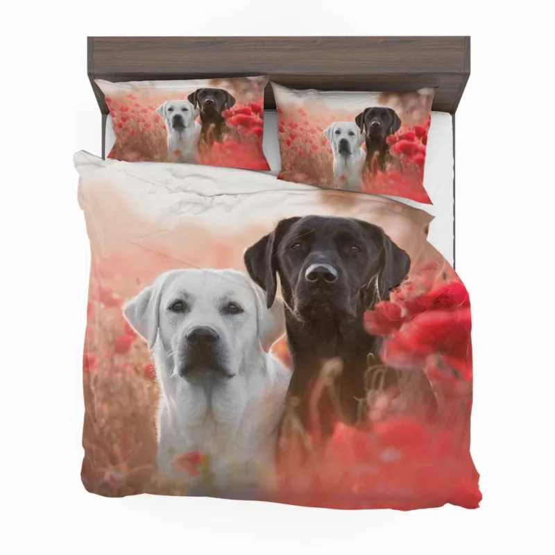 Summer Quartet: Labradors in a Poppy Field Bedding Set 1