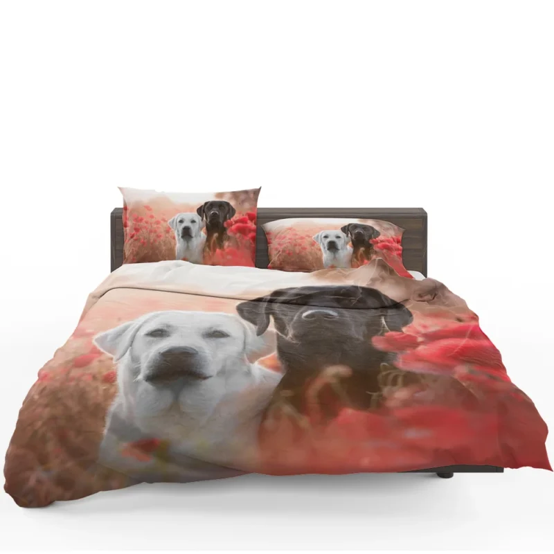 Summer Quartet: Labradors in a Poppy Field Bedding Set