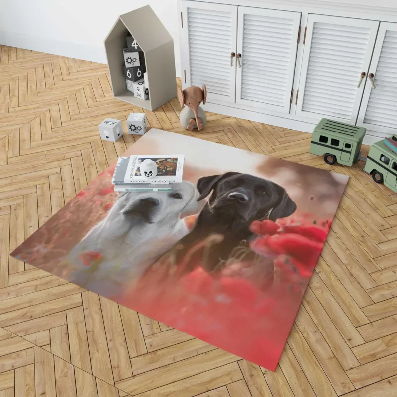 Summer Quartet: Labradors in a Poppy Field Floor Rug 1