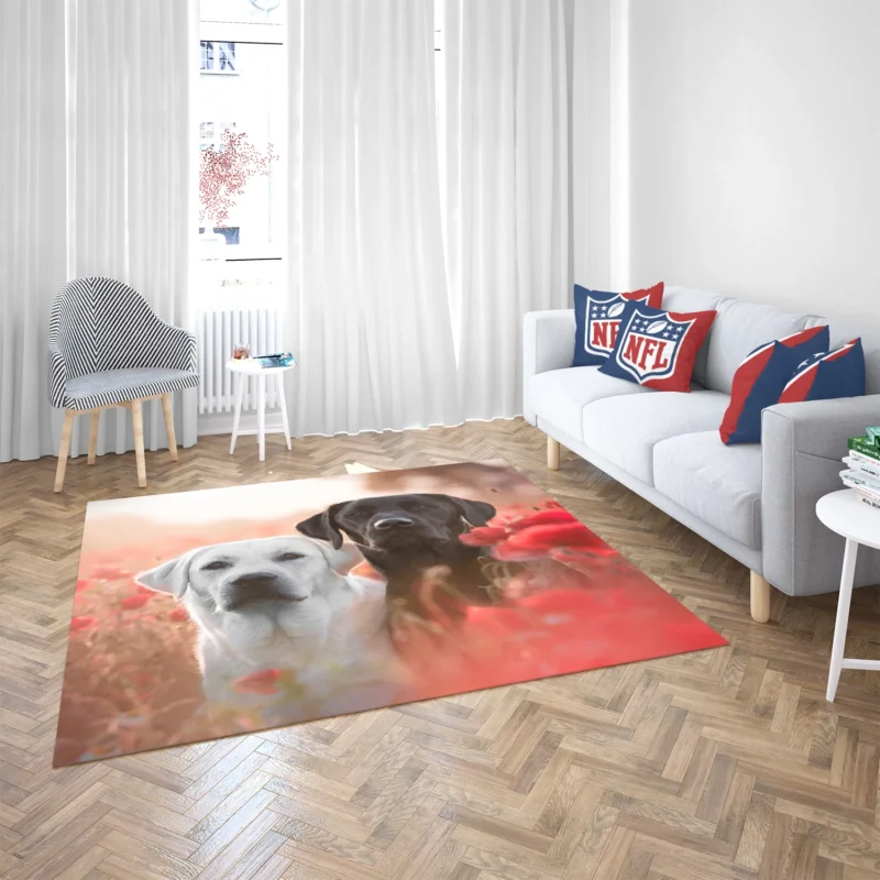 Summer Quartet: Labradors in a Poppy Field Floor Rug 2