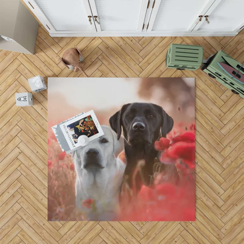 Summer Quartet: Labradors in a Poppy Field Floor Rug