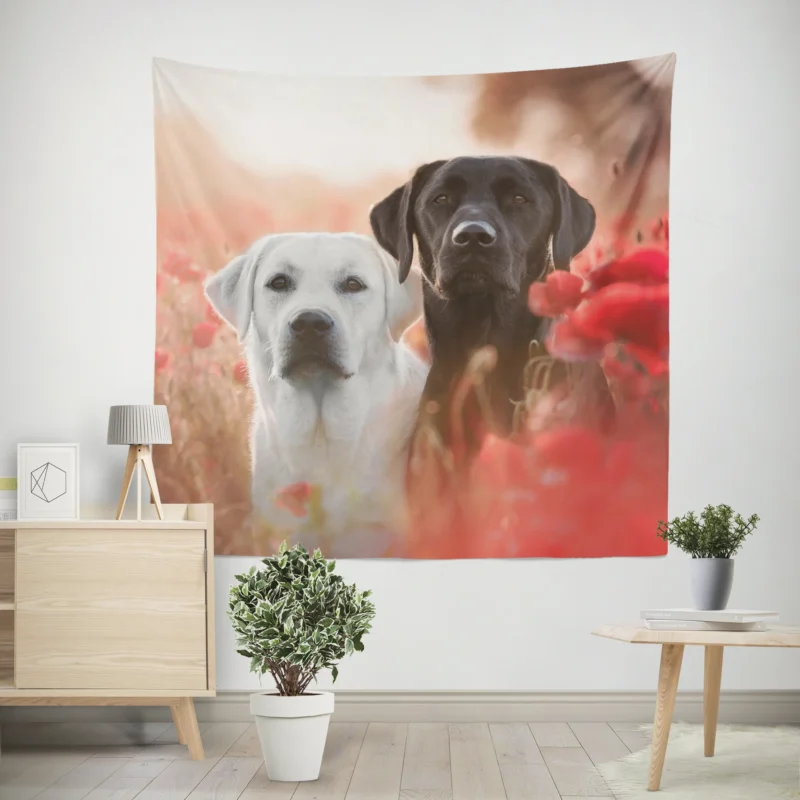 Summer Quartet  Labradors in a Poppy Field Wall Tapestry