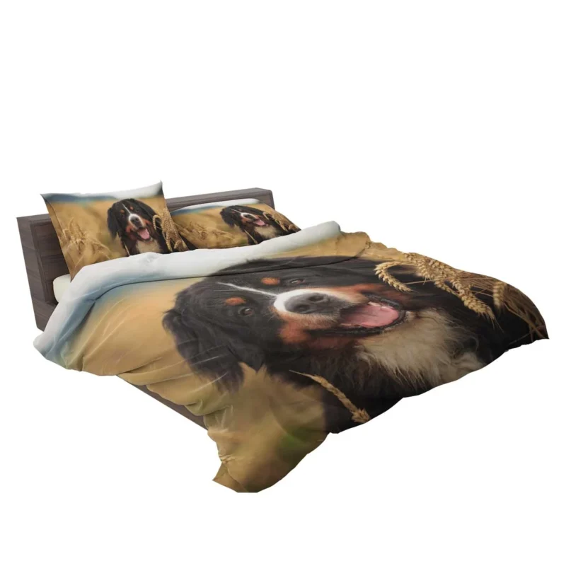 Summer Wheat Dreamland: Sennenhund Quartet Bedding Set 2