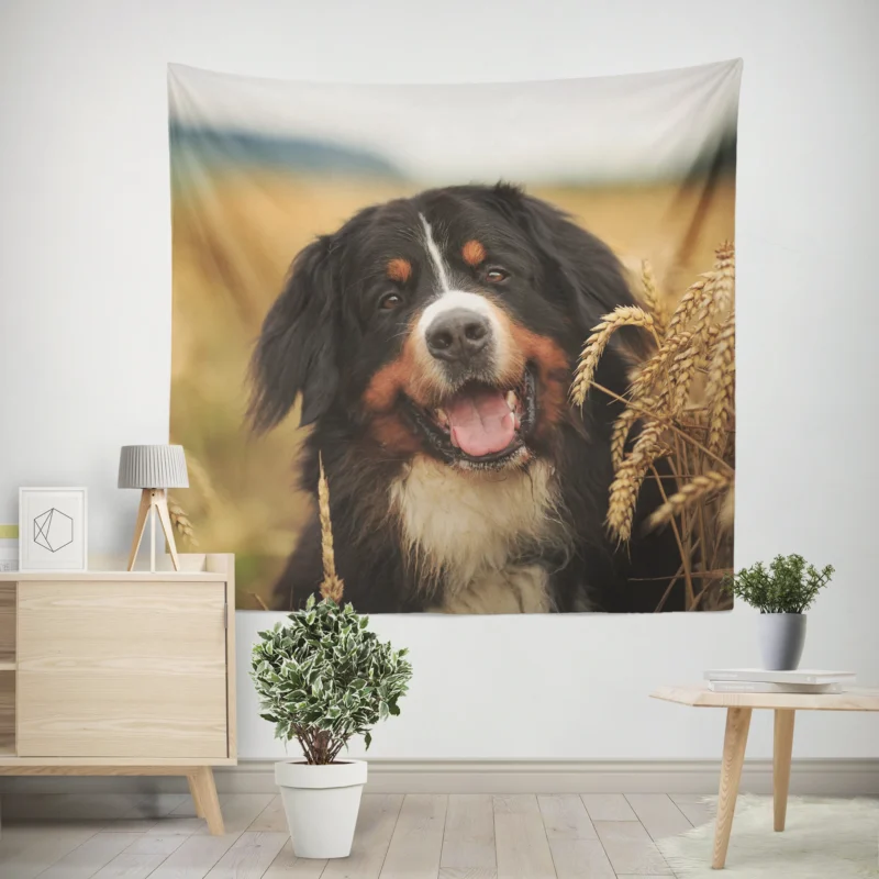 Summer Wheat Dreamland  Sennenhund Quartet Wall Tapestry