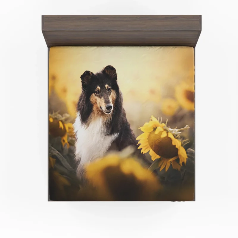 Sunflower Field: Scottish Shepherd Quartet Fitted Sheet