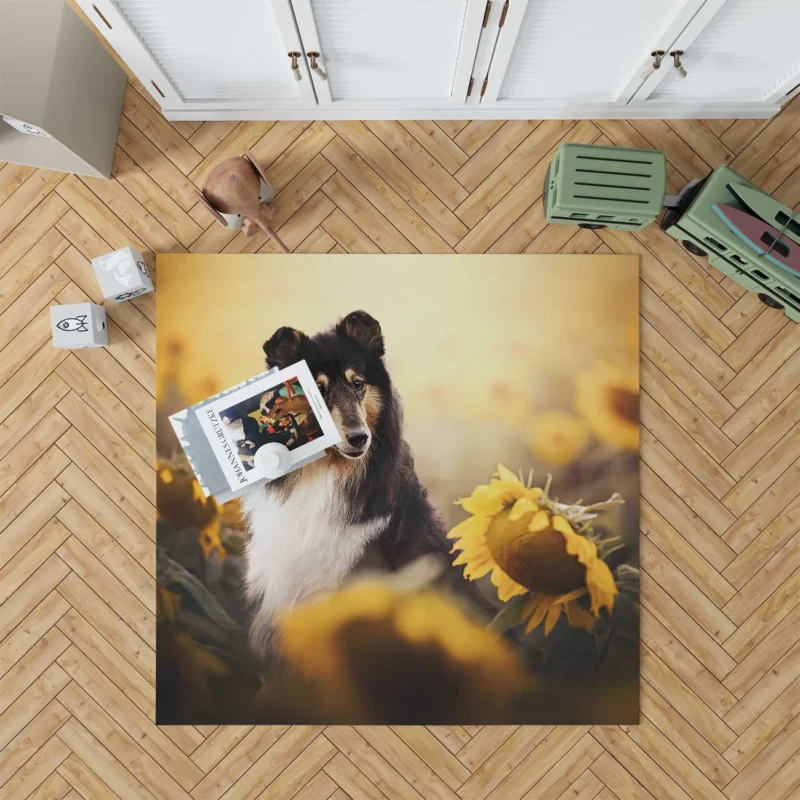 Sunflower Field: Scottish Shepherd Quartet Floor Rug