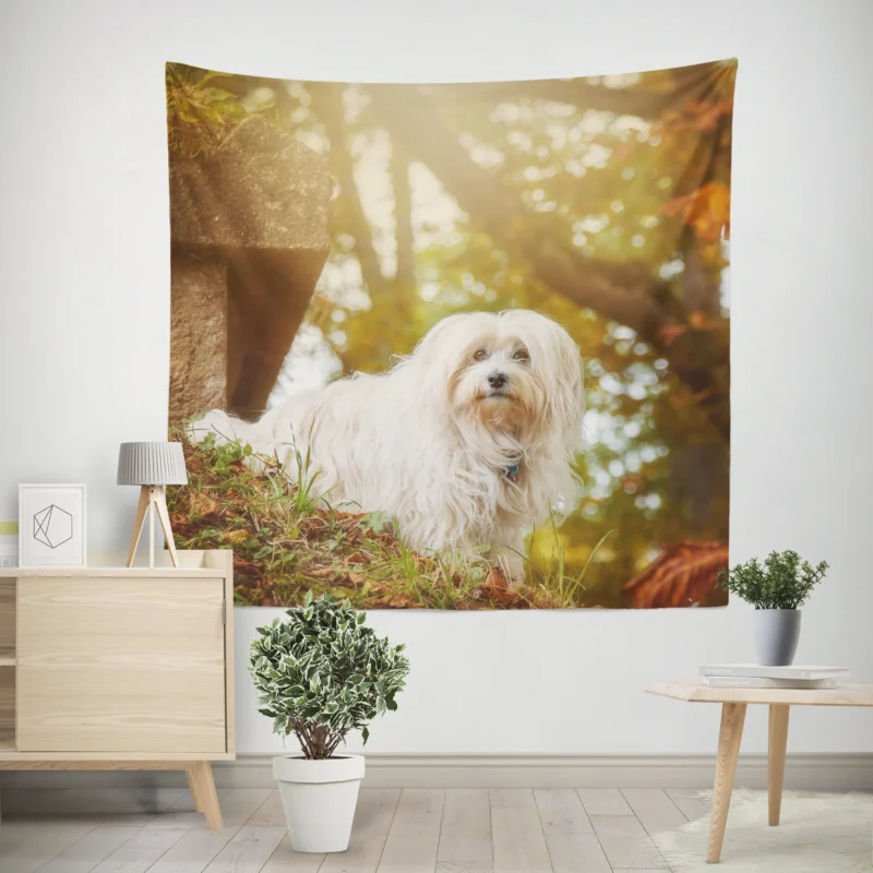 Sunny Bokeh Bliss  Maltese Quartet Wall Tapestry