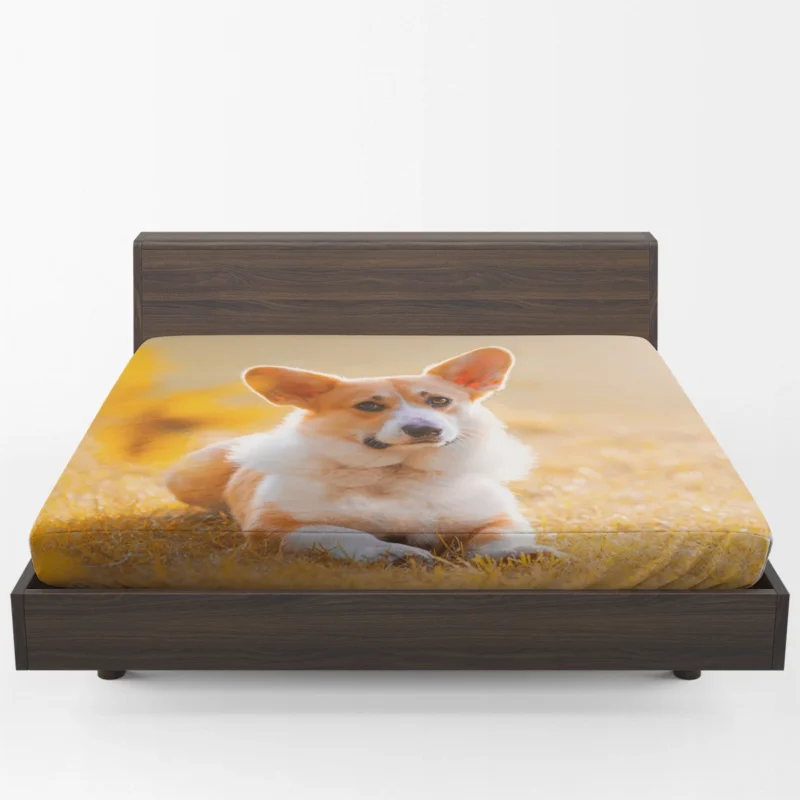 Sunny Day Playfulness: Corgi Quartet Fitted Sheet 1