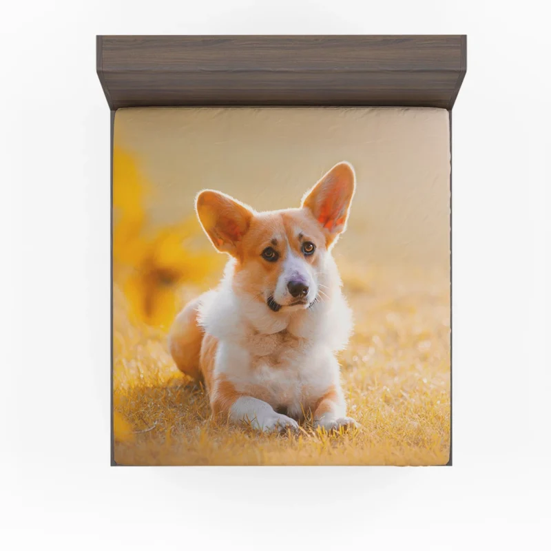 Sunny Day Playfulness: Corgi Quartet Fitted Sheet