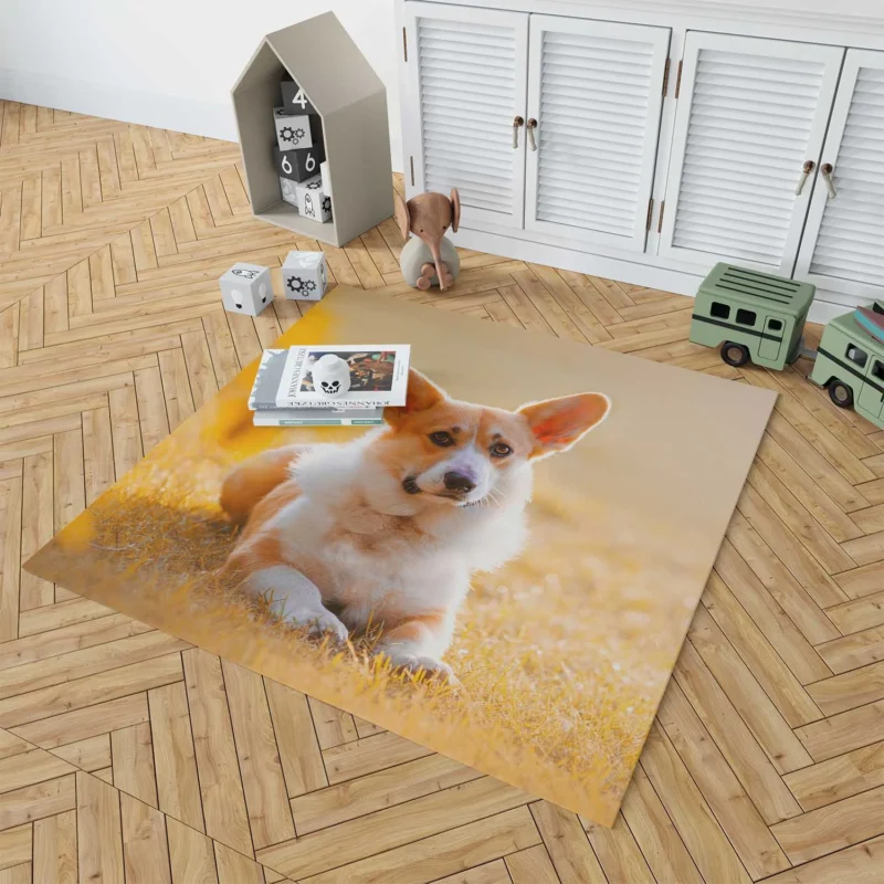 Sunny Day Playfulness: Corgi Quartet Floor Rug 1