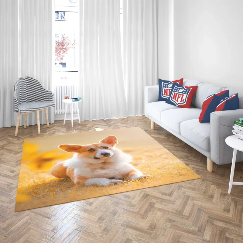 Sunny Day Playfulness: Corgi Quartet Floor Rug 2