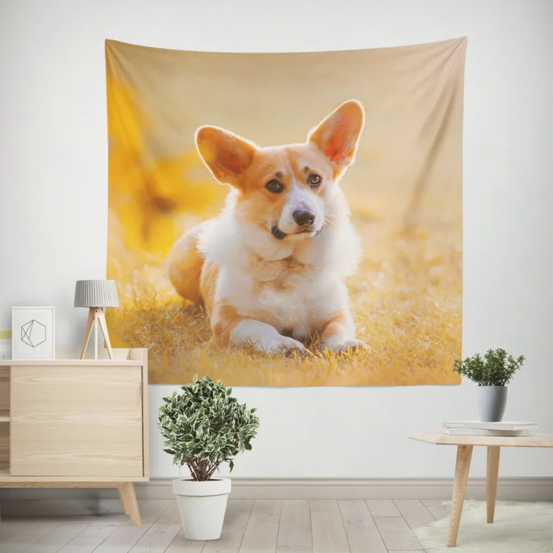 Sunny Day Playfulness  Corgi Quartet Wall Tapestry