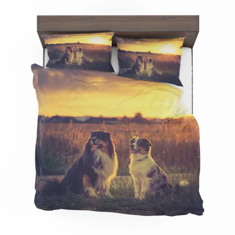 Sunset Beauty with Depth Of Field: Australian Shepherd Bedding Set 1