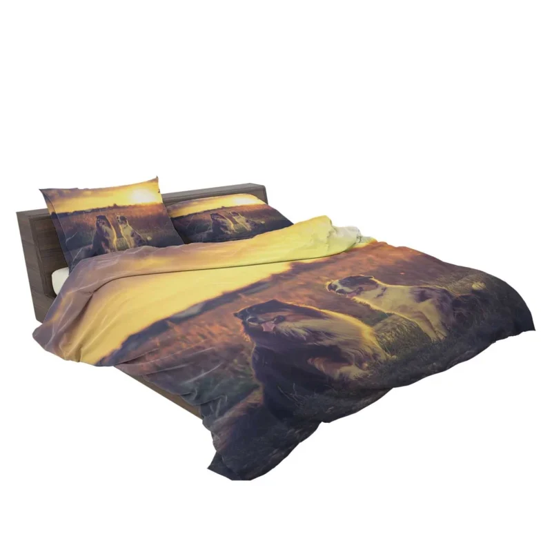 Sunset Beauty with Depth Of Field: Australian Shepherd Bedding Set 2