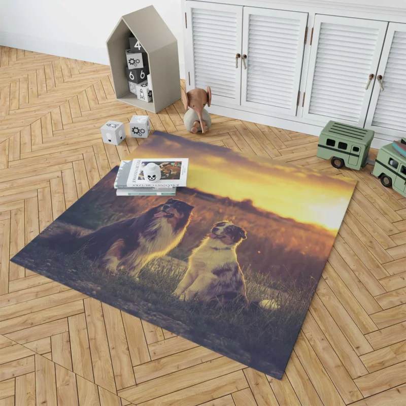 Sunset Beauty with Depth Of Field: Australian Shepherd Floor Rug 1