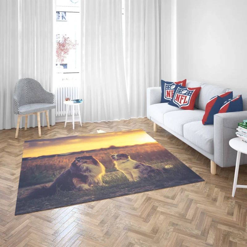 Sunset Beauty with Depth Of Field: Australian Shepherd Floor Rug 2