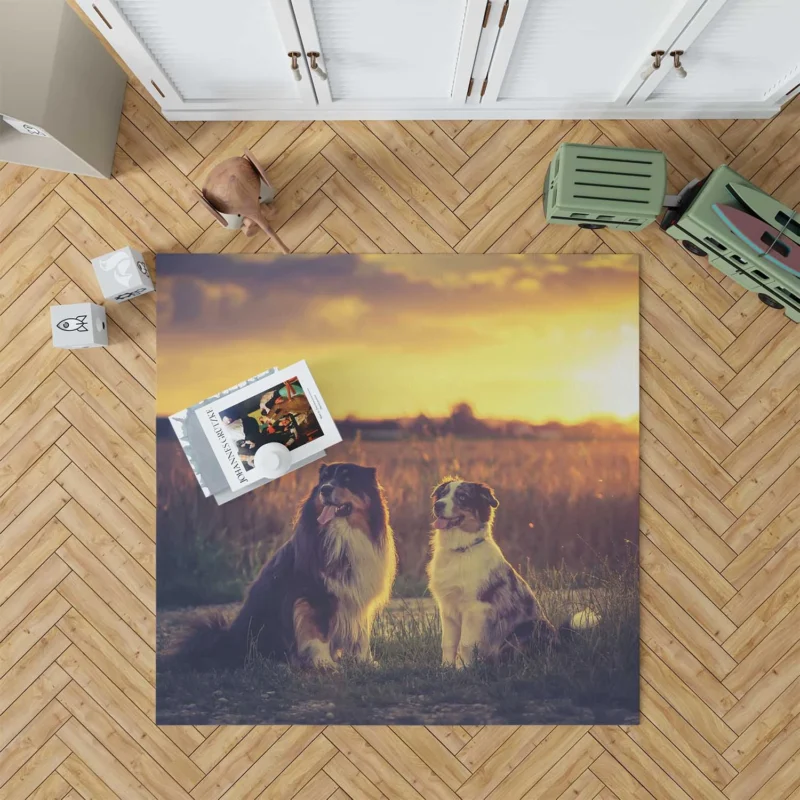 Sunset Beauty with Depth Of Field: Australian Shepherd Floor Rug