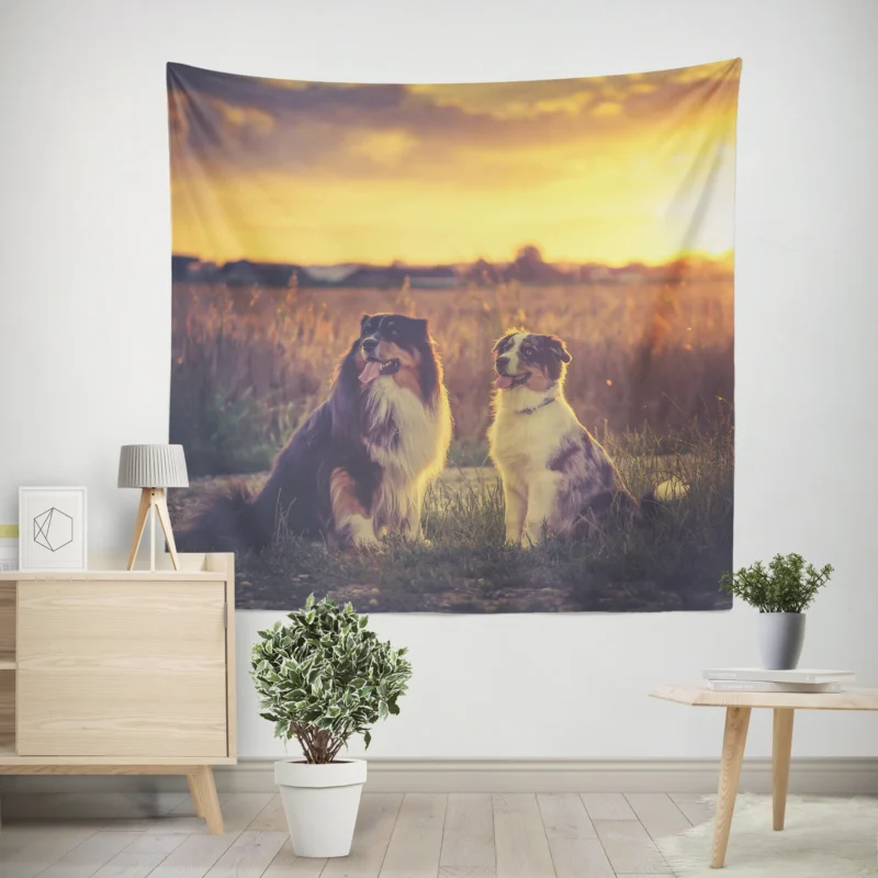 Sunset Beauty with Depth Of Field  Australian Shepherd Wall Tapestry