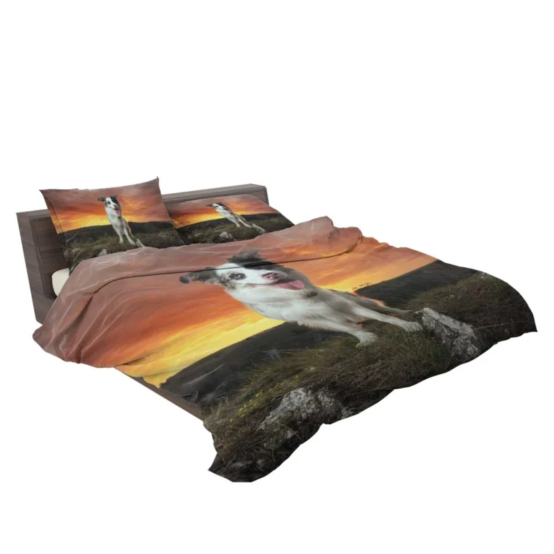 Sunset Landscape with Collie Clouds: Border Collie Bedding Set 2