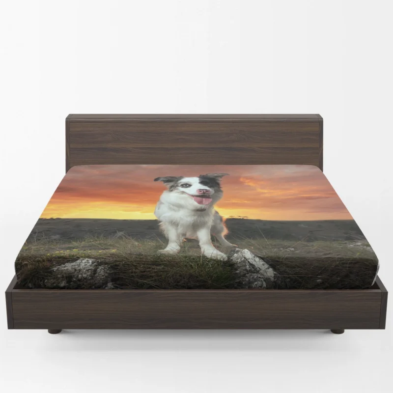 Sunset Landscape with Collie Clouds: Border Collie Fitted Sheet 1