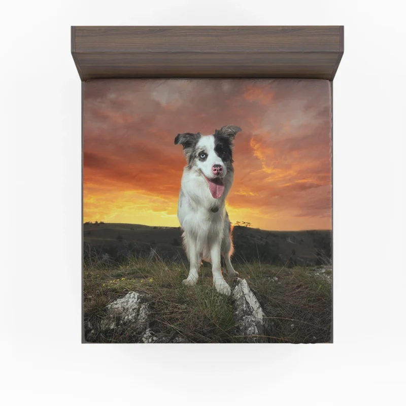 Sunset Landscape with Collie Clouds: Border Collie Fitted Sheet