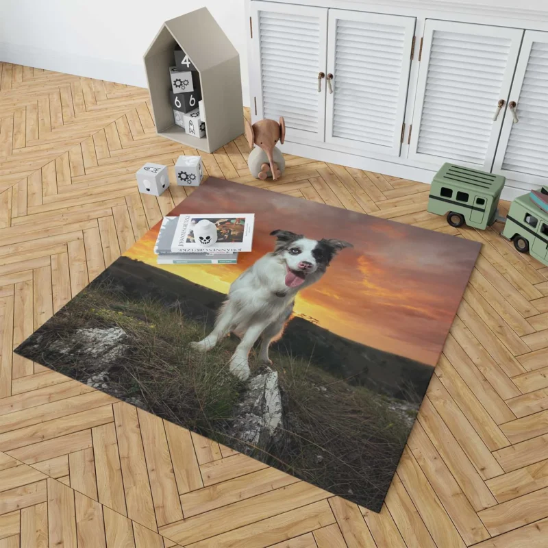 Sunset Landscape with Collie Clouds: Border Collie Floor Rug 1