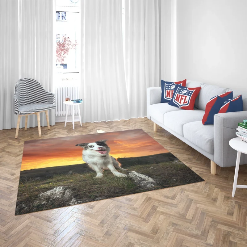 Sunset Landscape with Collie Clouds: Border Collie Floor Rug 2