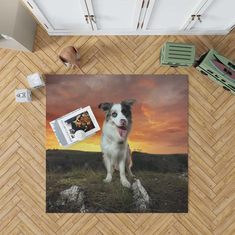 Sunset Landscape with Collie Clouds: Border Collie Floor Rug