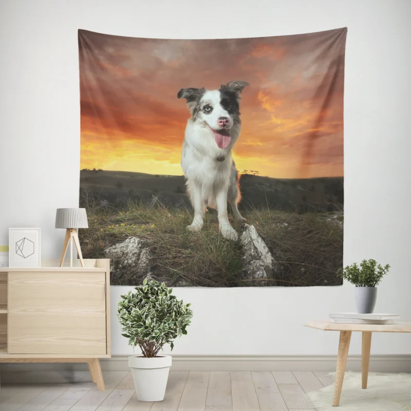 Sunset Landscape with Collie Clouds  Border Collie Wall Tapestry