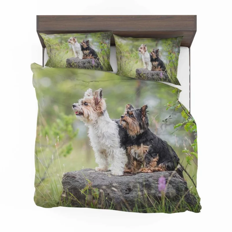 Sweet and Tiny: Yorkshire Terrier Quartet Bedding Set 1