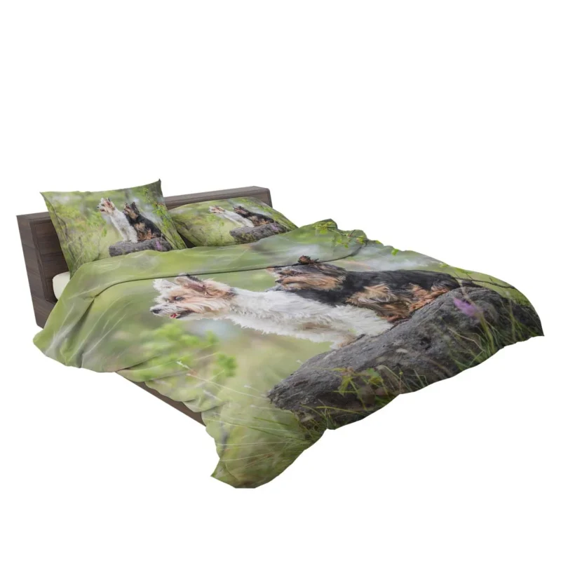 Sweet and Tiny: Yorkshire Terrier Quartet Bedding Set 2