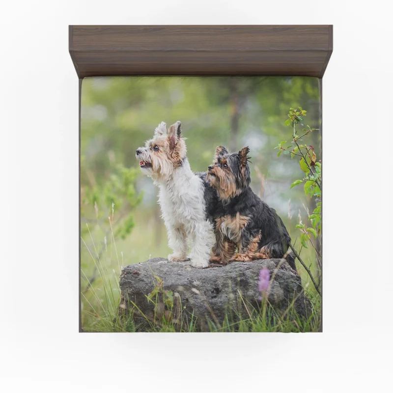 Sweet and Tiny: Yorkshire Terrier Quartet Fitted Sheet 1