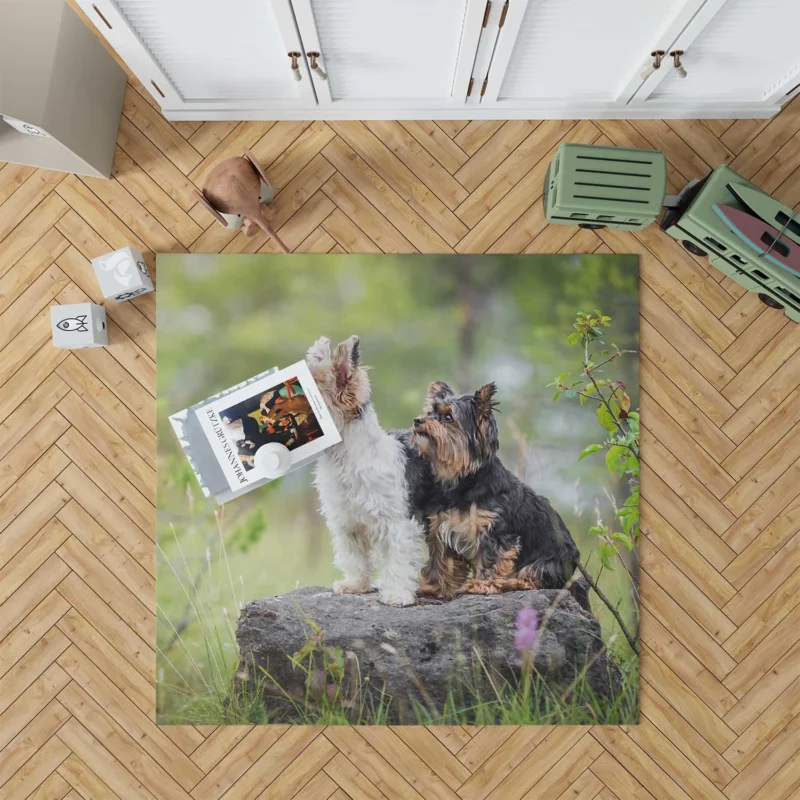 Sweet and Tiny: Yorkshire Terrier Quartet Floor Rug