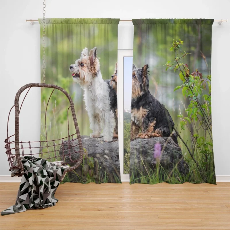 Sweet and Tiny: Yorkshire Terrier Quartet Window Curtain