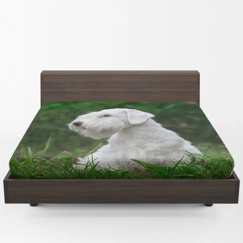 Terrier in Lush Greenery: Sealyham Terrier Quartet Fitted Sheet 1