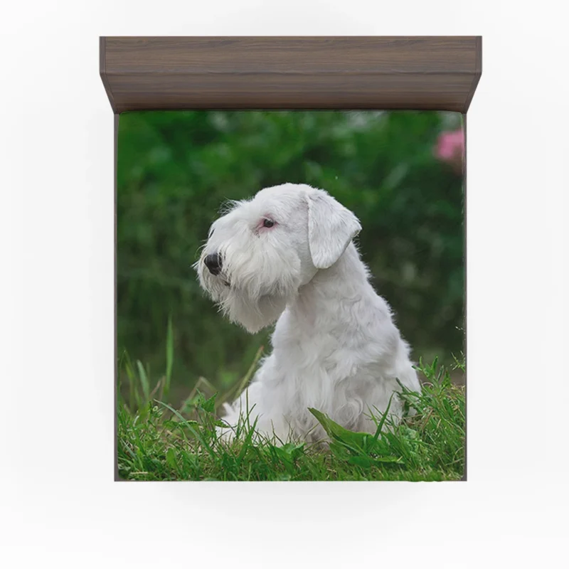 Terrier in Lush Greenery: Sealyham Terrier Quartet Fitted Sheet