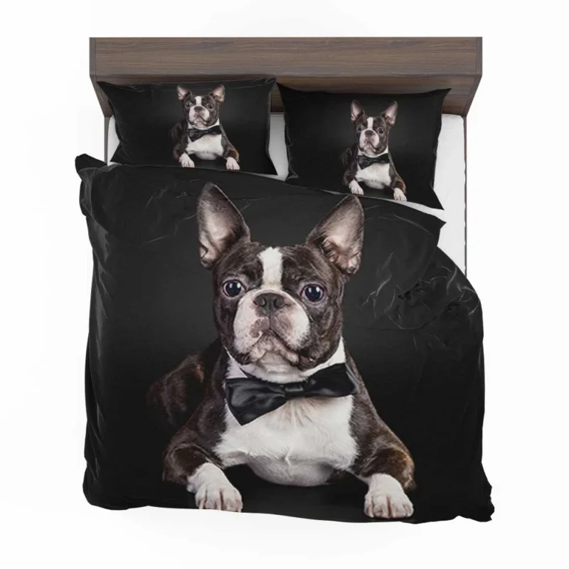 The Active and Friendly Boston Terrier: Boston Terrier Bedding Set 1